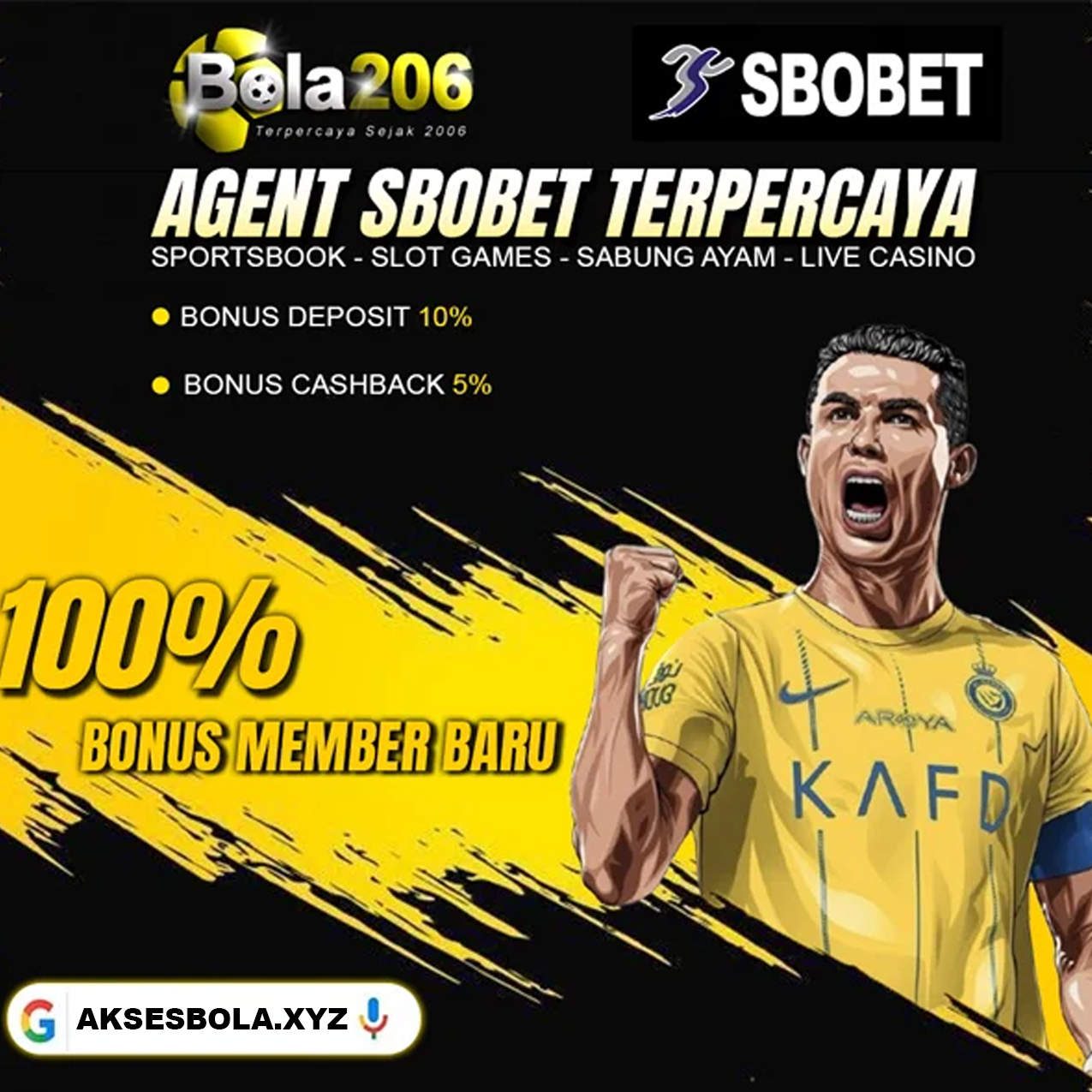 Bola206